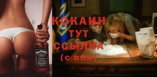 твердый Покачи