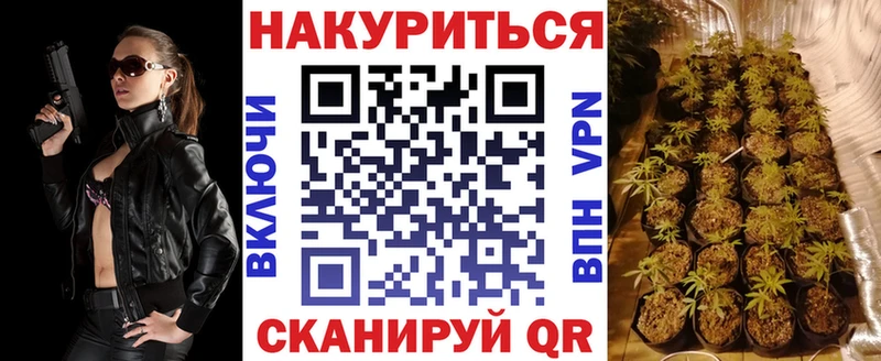 как найти   Комсомольск-на-Амуре  Шишки марихуана SATIVA & INDICA 
